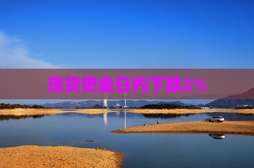 现货钯金日内下跌2%