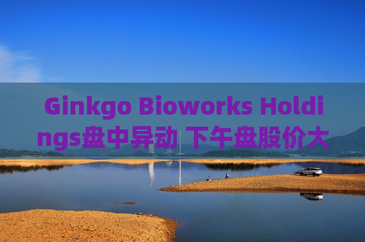 Ginkgo Bioworks Holdings盘中异动 下午盘股价大涨5.06%报8.10美元  第1张