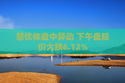 慧优体盘中异动 下午盘股价大跌6.12%  第1张