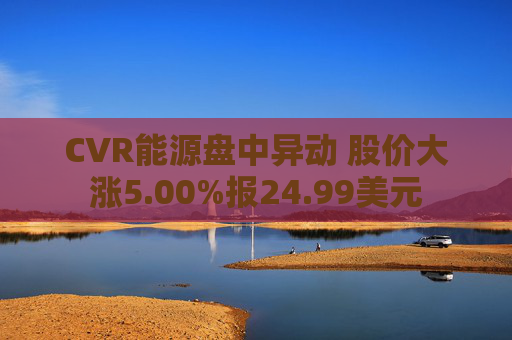 CVR能源盘中异动 股价大涨5.00%报24.99美元