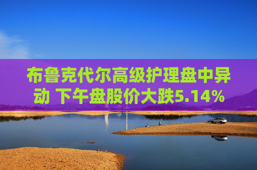 布鲁克代尔高级护理盘中异动 下午盘股价大跌5.14%  第1张