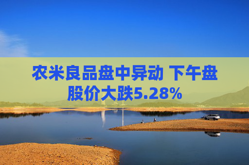 农米良品盘中异动 下午盘股价大跌5.28%  第1张