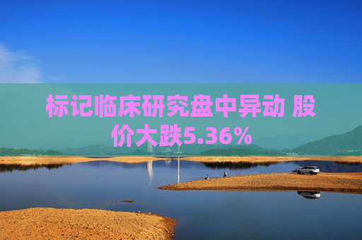 标记临床研究盘中异动 股价大跌5.36%