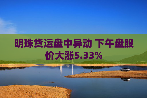 明珠货运盘中异动 下午盘股价大涨5.33%  第1张