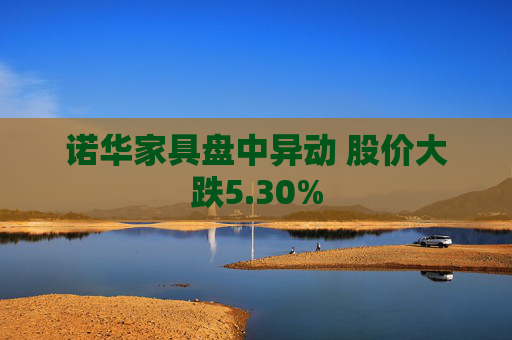 诺华家具盘中异动 股价大跌5.30%