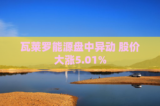 瓦莱罗能源盘中异动 股价大涨5.01%