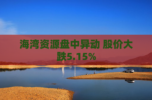 海湾资源盘中异动 股价大跌5.15%