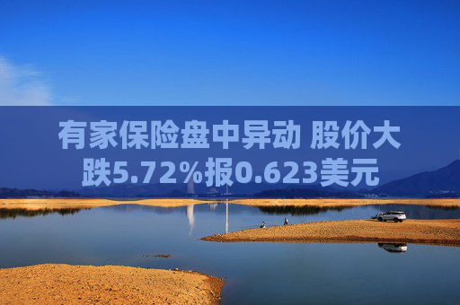 有家保险盘中异动 股价大跌5.72%报0.623美元  第1张