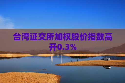 台湾证交所加权股价指数高开0.3%