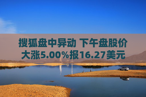 搜狐盘中异动 下午盘股价大涨5.00%报16.27美元  第1张