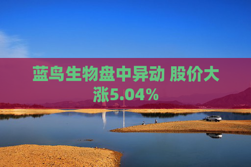 蓝鸟生物盘中异动 股价大涨5.04%