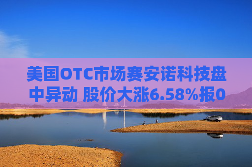 美国OTC市场赛安诺科技盘中异动 股价大涨6.58%报0.810美元  第1张