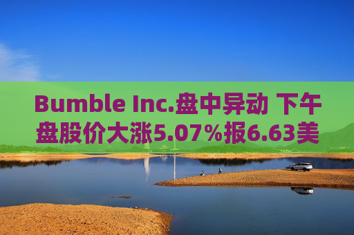 Bumble Inc.盘中异动 下午盘股价大涨5.07%报6.63美元