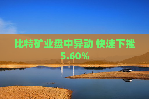 比特矿业盘中异动 快速下挫5.60%