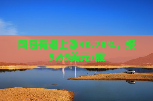 网易有道上涨30.79%，报5.65美元/股  第1张