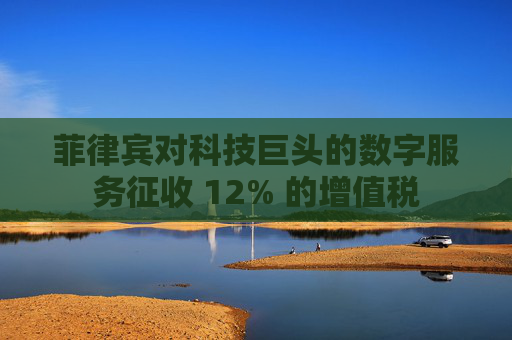 菲律宾对科技巨头的数字服务征收 12% 的增值税  第1张