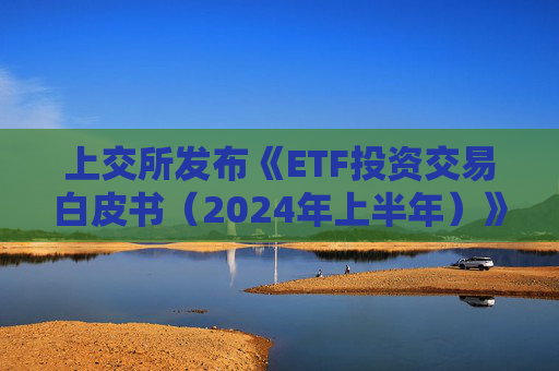 上交所发布《ETF投资交易白皮书（2024年上半年）》：市场规模迭创新高  ETF助推价值投资 第1张