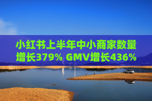 小红书上半年中小商家数量增长379% GMV增长436%