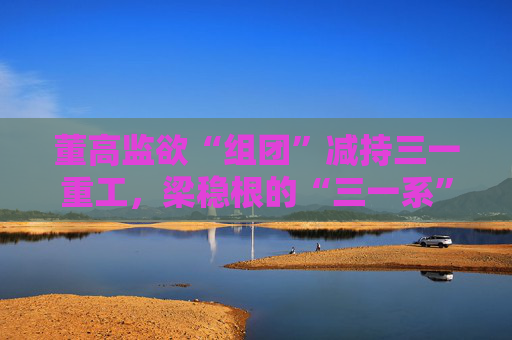 董高监欲“组团”减持三一重工，梁稳根的“三一系”离万亿市值目标还有多远？