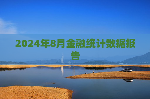 2024年8月金融统计数据报告