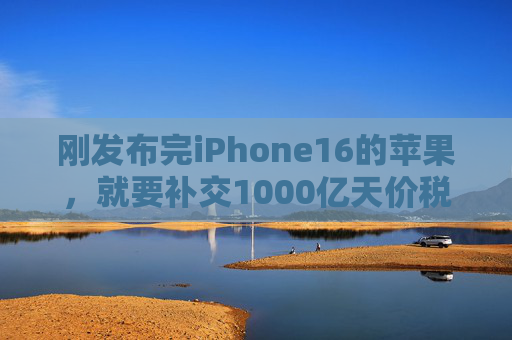 刚发布完iPhone16的苹果，就要补交1000亿天价税款  第1张