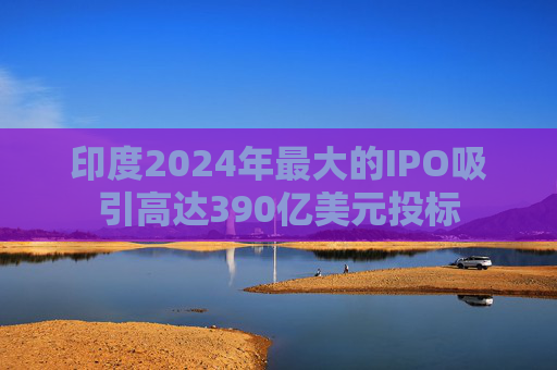 印度2024年最大的IPO吸引高达390亿美元投标