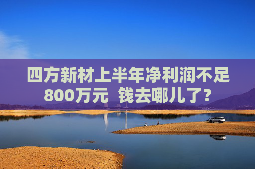 四方新材上半年净利润不足800万元  钱去哪儿了？ 第1张