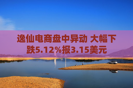 逸仙电商盘中异动 大幅下跌5.12%报3.15美元  第1张