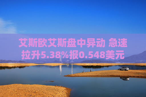 艾斯欧艾斯盘中异动 急速拉升5.38%报0.548美元  第1张