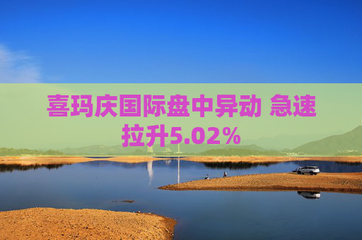 喜玛庆国际盘中异动 急速拉升5.02%  第1张