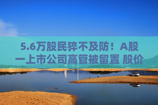 5.6万股民猝不及防！A股一上市公司高管被留置 股价闪崩、主力资金出逃