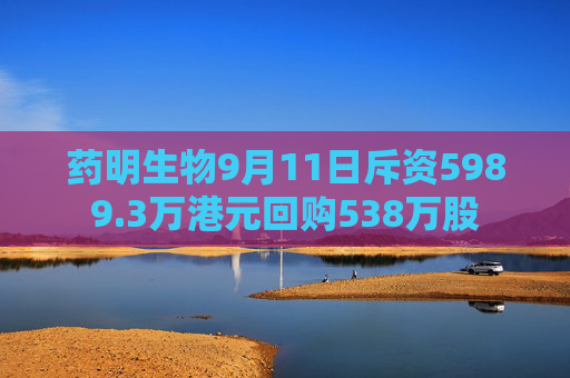 药明生物9月11日斥资5989.3万港元回购538万股