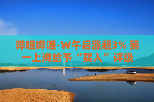 哔哩哔哩-W午后涨超3% 第一上海给予“买入”评级  第1张