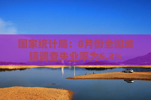 国家统计局：8月份全国城镇调查失业率为5.3%  第1张