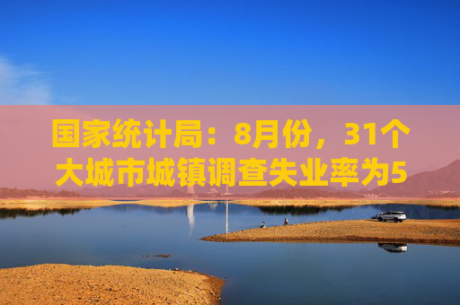 国家统计局：8月份，31个大城市城镇调查失业率为5.4%  第1张