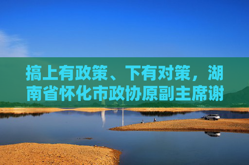 搞上有政策、下有对策，湖南省怀化市政协原副主席谢商成被“双开”