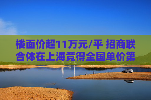 楼面价超11万元/平 招商联合体在上海竞得全国单价第二高地王