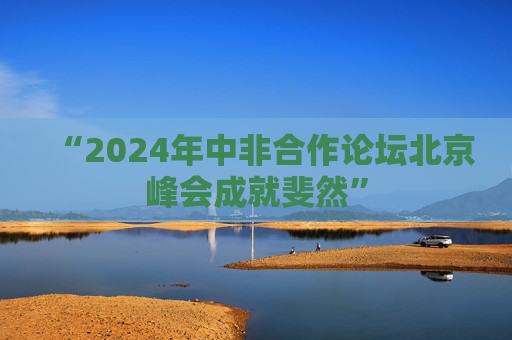 “2024年中非合作论坛北京峰会成就斐然”  第1张