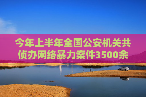 今年上半年全国公安机关共侦办网络暴力案件3500余起  第1张