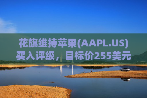 花旗维持苹果(AAPL.US)买入评级，目标价255美元  第1张