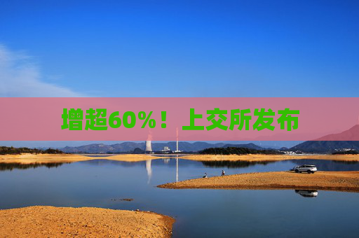 增超60%！上交所发布