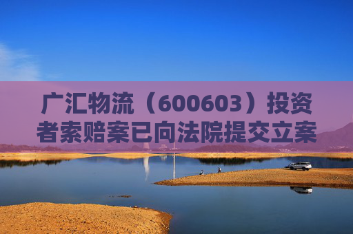 广汇物流（600603）投资者索赔案已向法院提交立案