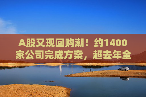 A股又现回购潮！约1400家公司完成方案，超去年全年！  第1张