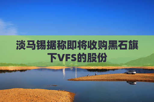 淡马锡据称即将收购黑石旗下VFS的股份  第1张