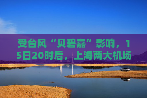 受台风“贝碧嘉”影响，15日20时后，上海两大机场所有航班取消  第1张