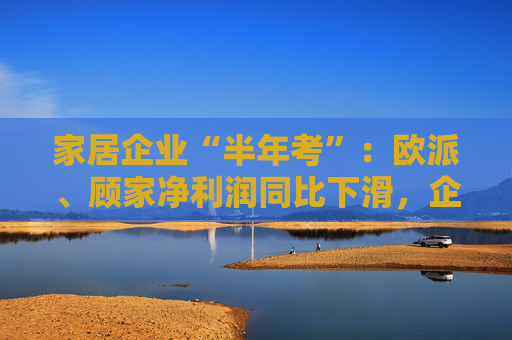 家居企业“半年考”：欧派、顾家净利润同比下滑，企业寻求海外市场突破