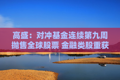 高盛：对冲基金连续第九周抛售全球股票 金融类股重获青睐  第1张