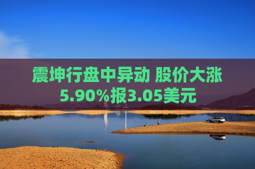 震坤行盘中异动 股价大涨5.90%报3.05美元  第1张