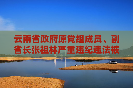 云南省政府原党组成员、副省长张祖林严重违纪违法被开除党籍