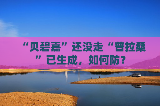 “贝碧嘉”还没走“普拉桑”已生成，如何防？